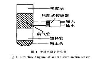 圖1 土壤水吸力傳感器