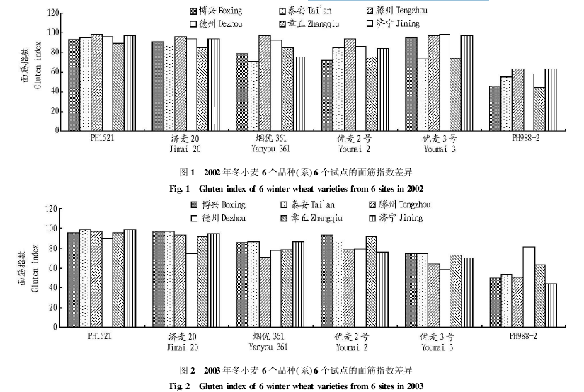 小麥品種在不同試點(diǎn)的面筋指數(shù)情況