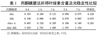 表1 丙酮碾磨法所得葉綠素含量及光穩(wěn)定性比較