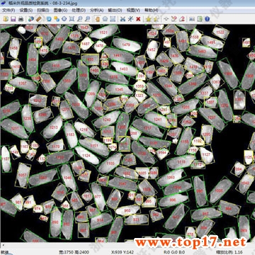 米質(zhì)判定儀