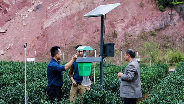 托普云農(nóng)出品的茶園殺蟲(chóng)燈