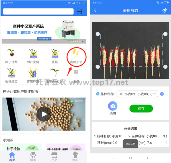 麥穗形態(tài)測量儀