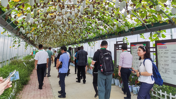 FһԔ(x)˽┵(sh)r(nng)I(y)Q;w(yng)óЧ