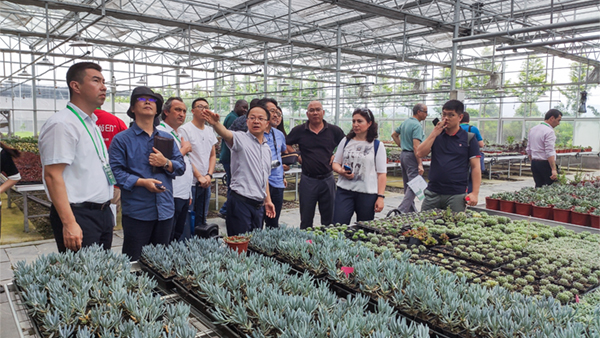 FһԔ(x)˽┵(sh)r(nng)I(y)Q;w(yng)óЧ