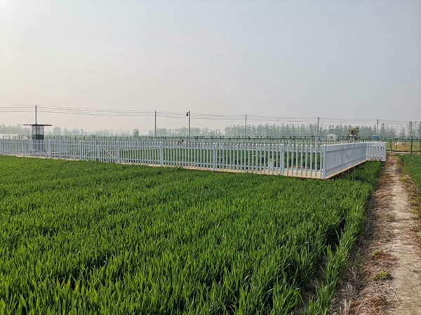 r(nng)cKֲֲzվwr(nng)ĺf(xi)h