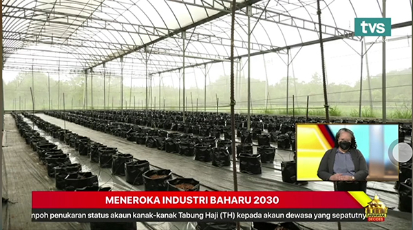 托普云農(nóng)數(shù)字農(nóng)業(yè)解決方案在馬來西亞的應(yīng)用場景