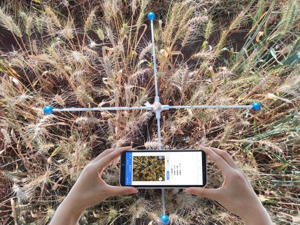 С딵(sh)y(c)ϵy(tng)