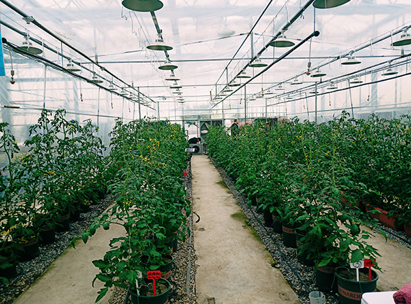 蕭山現(xiàn)代農(nóng)業(yè)示范區(qū)