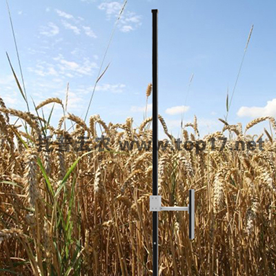 小麥株高測(cè)量