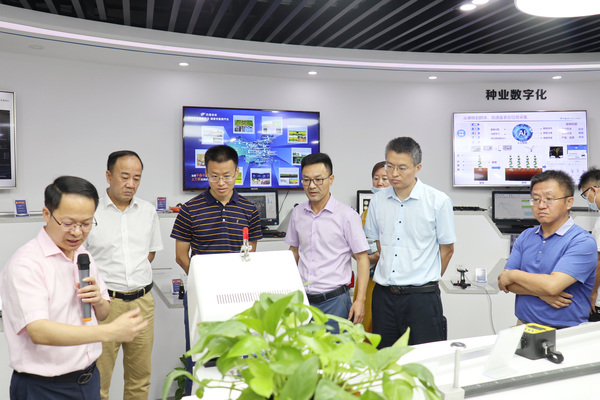 c(hu)I(lng)(do)^r(nng)(sh)r(nng)չd