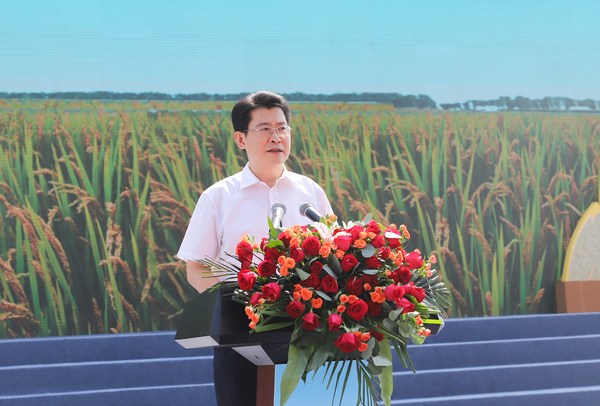 Ƽl(xing)ίӛLqo