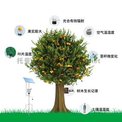 ֲB(ti)O(jin)yϵy(tng) TP-ZWSLϵ