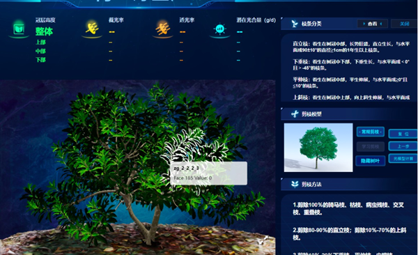 ơϷNw÷r(nng)B(yng)÷