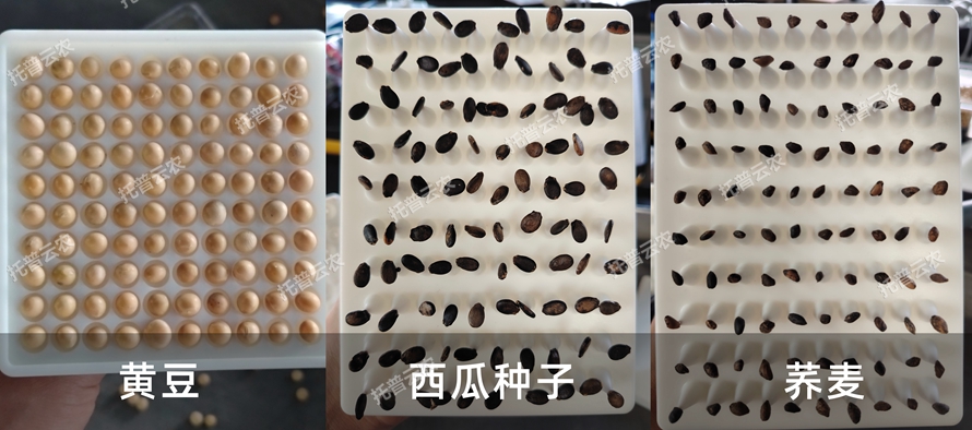 TP-SZC-50多功能真空數(shù)種置床臺