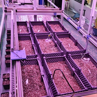 室內(nèi)種子萌發(fā)表型監(jiān)測系統(tǒng) TPN-SeedPhy