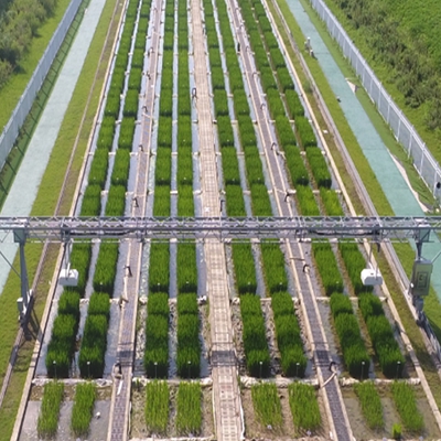 龍門式高通量表型采集分析平臺(tái)(地軌式) TPN-GTL-GT1